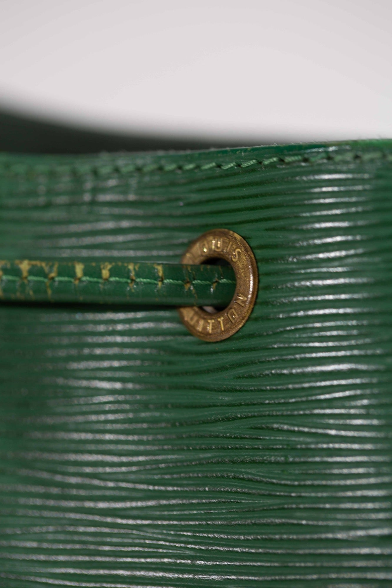 Petit Noé Épi Vert
